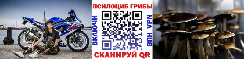 как найти   Шарья  Псилоцибиновые грибы прущие грибы 